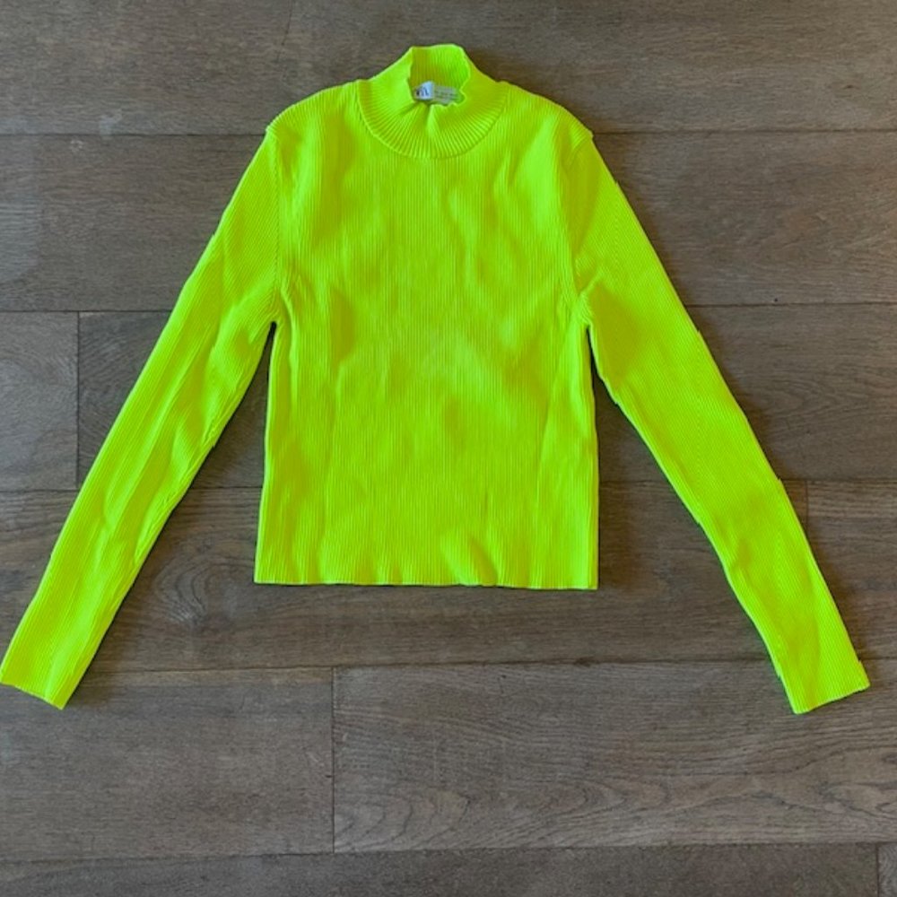 Zara Long Sleeved Mock Turtleneck